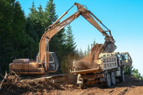 Wombet Casino Tacaíocht